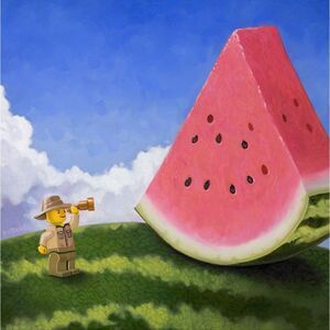 🔹️NIB Black Framed 12x12 Wall Decor